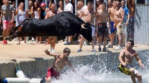 Лучшие приколы 2025 — Попробуй не засмеяться!😂😂😂