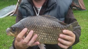 Когда не клюёт. Мифы и реальность.