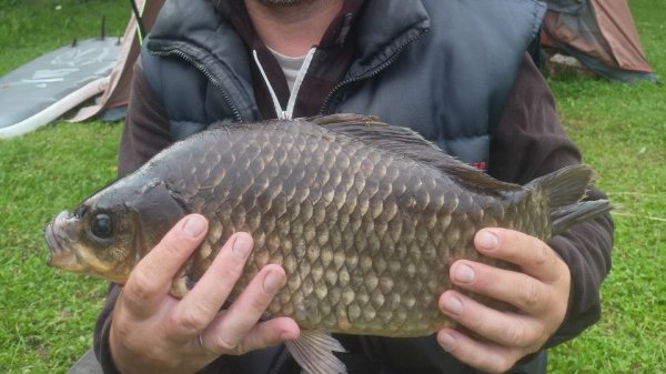 Когда не клюёт. Мифы и реальность.