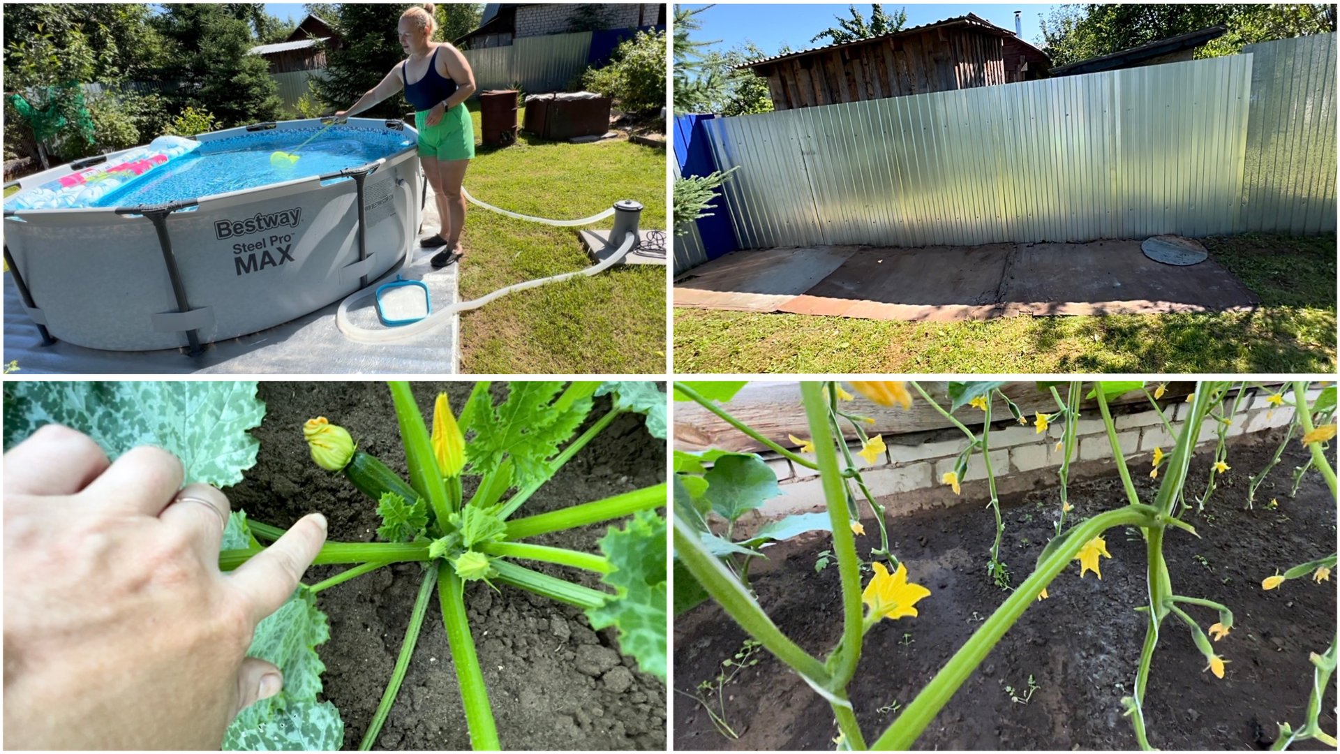 12 июля. Чистка бассейна. Новый забор. Огурцы в кольцо. Странный кабачок. Сбор урожая. смотреть онлайн