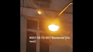 Экспозиция фонари моего города