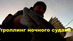 троллинг ночного судака по мели.