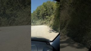 1000011635.mp4 Шаумянсий перевал на 8 июля 2025 года