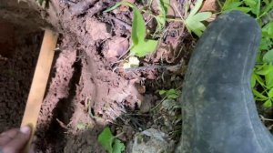 ЧЕШУЯ на ГЛУБИНЕ.  Тест металлоискатель Garrett vortex