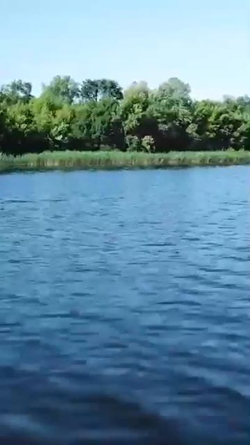 КО ДНЮ РЫБАКА! Всем рыбакам посвящается! П. Салаш - На рыбалке, как и в жизни.#праздник #рыбалка смотреть онлайн