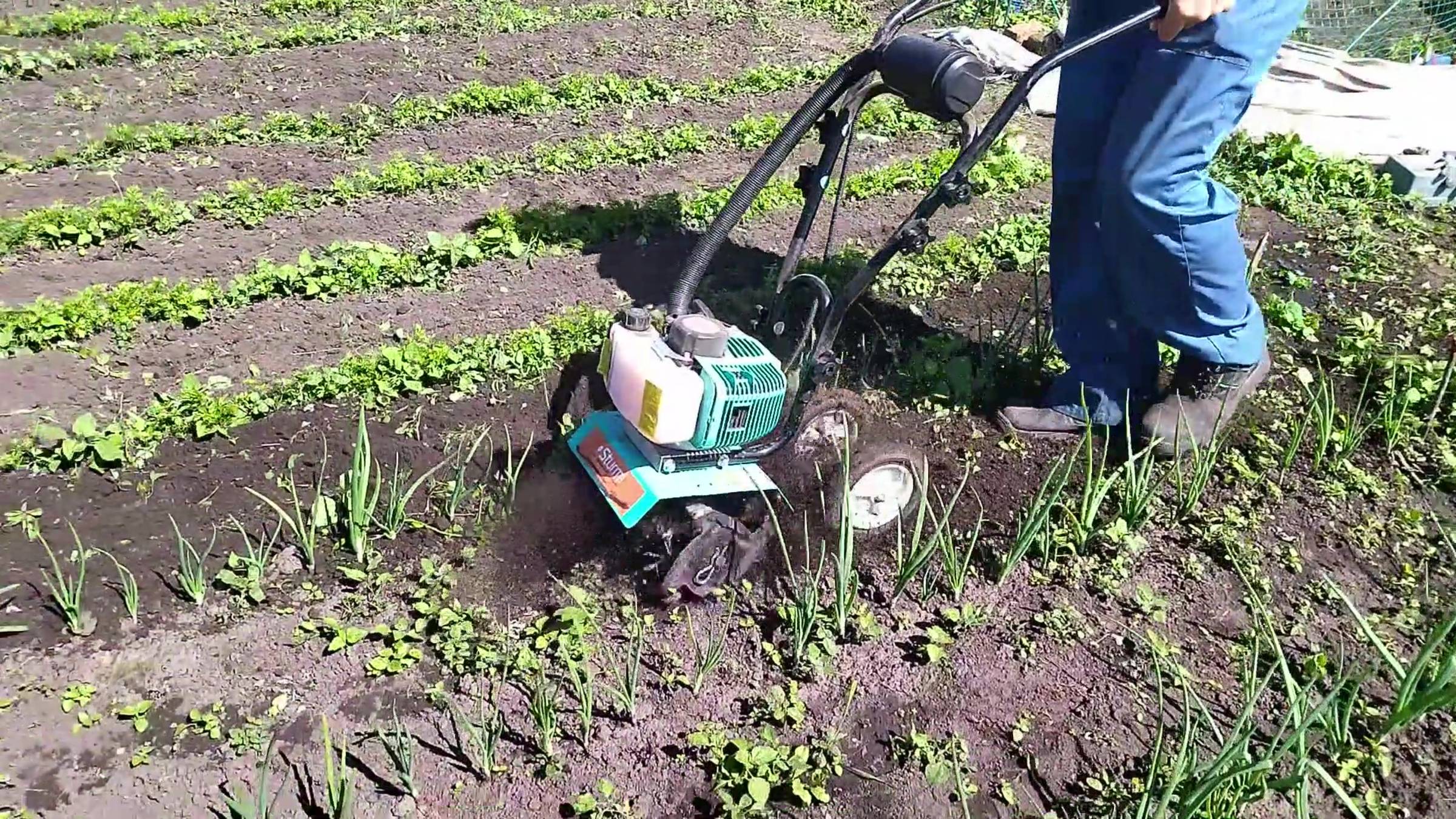 Прополка мини мото культиватором