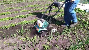 Прополка мини мото культиватором
