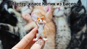 Мастер-класс Котик из Бисера/ Часть 1. Голова, Туловище /Самый красивый и реалистичный котик🐾