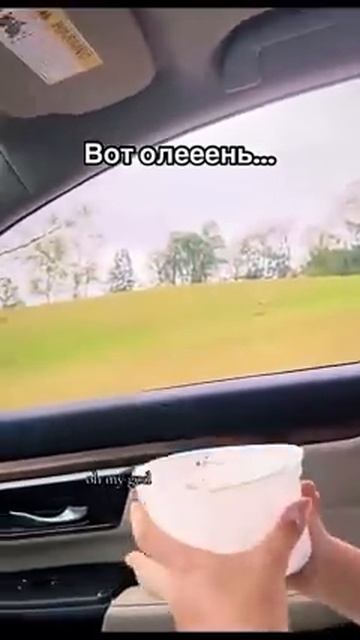 Когда кто то ест твои печеньки... #shorts #приколы