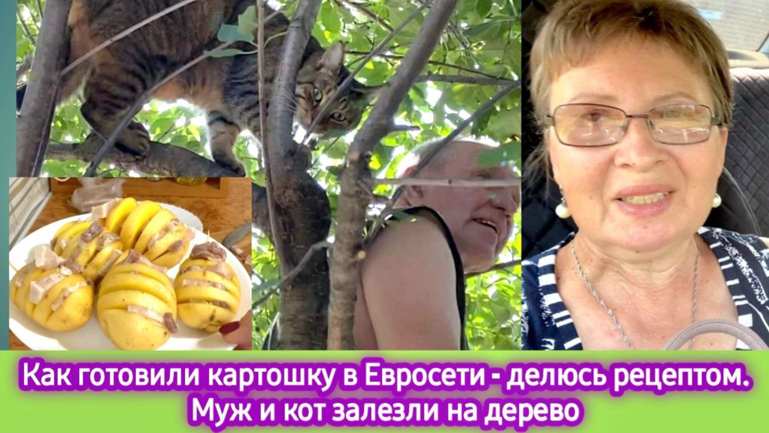 Как готовили картошку в Евросети - делюсь рецептом. Муж и кот залезли на дерево. Едем в магазин смотреть онлайн
