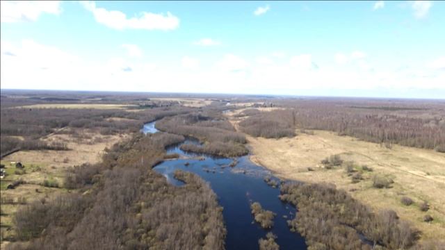 Река Луга близ Малого Волочка Новгородской области смотреть онлайн