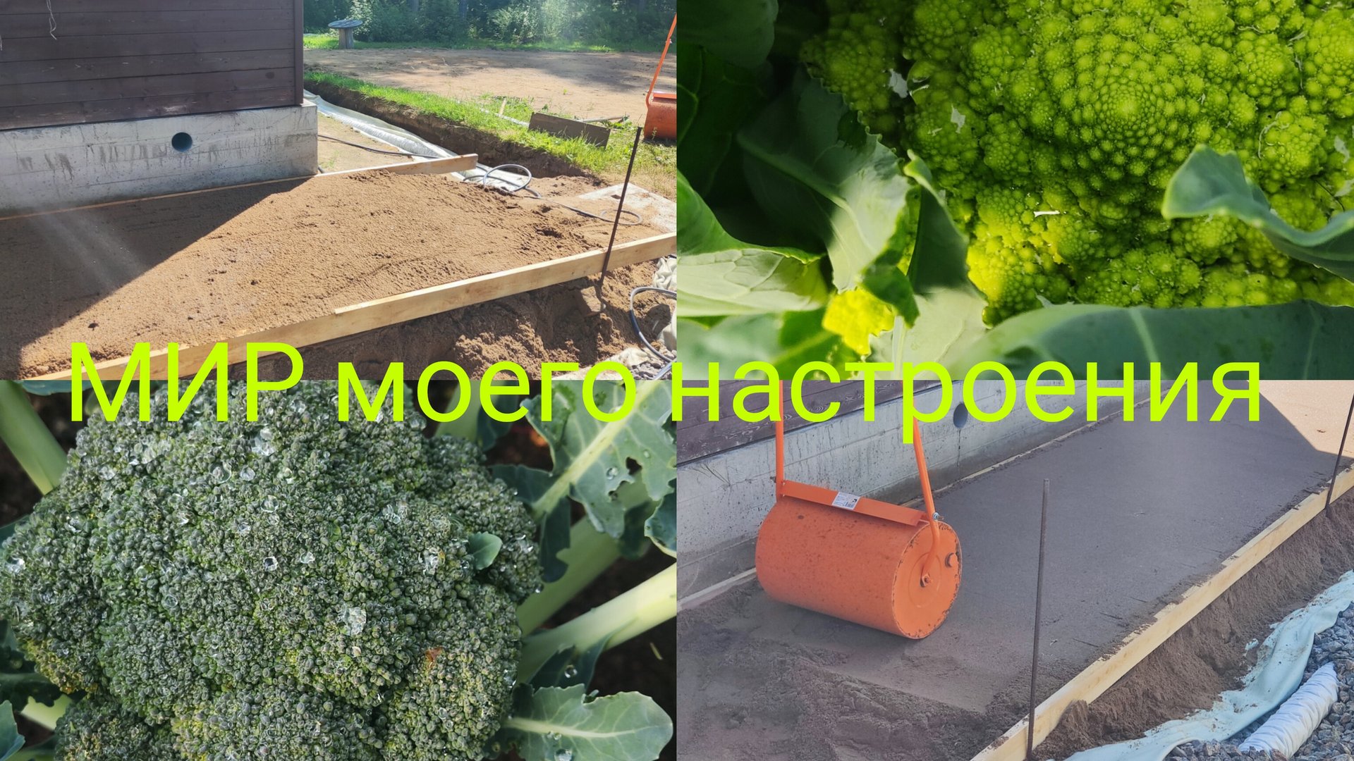 12.07.25 Дача Выборг.Осталась в деревне на выходных.Первый урожай брокколи! смотреть онлайн