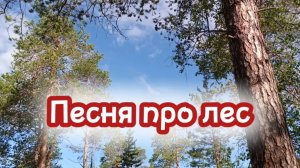 Красивая песня про лес. Природа Севера.