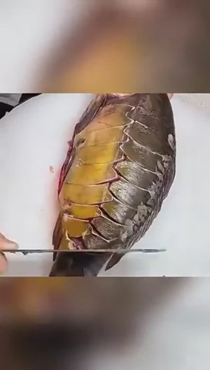 Нужные лайфхаки