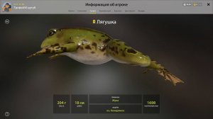 ТРОФЕЙ ЛЯГУШКА!!! КОМАРИНОЕ - РУССКАЯ РЫБАЛКА 4