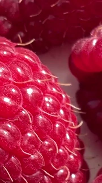 КАК ПРАВИЛЬНО ЗАМОРАЖИВАТЬ ЯГОДЫ смотреть онлайн