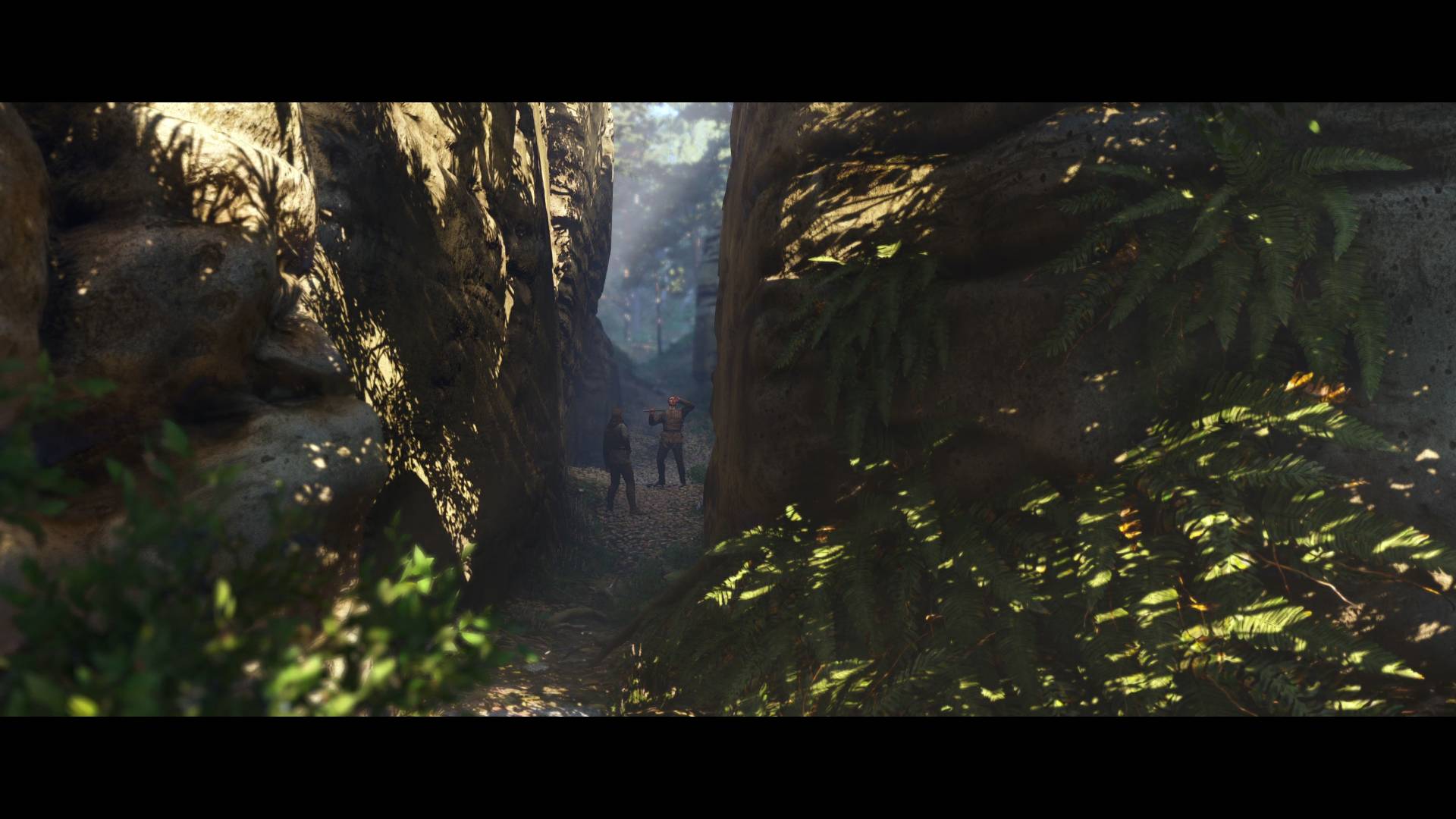 Kingdom Come Deliverance II Ищем Барбосика