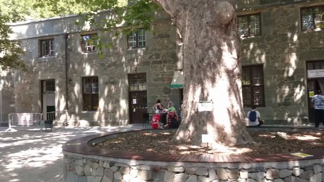 Воронцовский дворец и парк! (Архив 2020 г.) смотреть онлайн