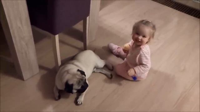 Мопс и малышка засыпают вместе