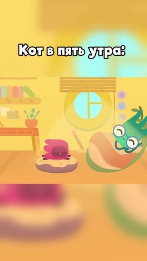 Любой котик каждое утро