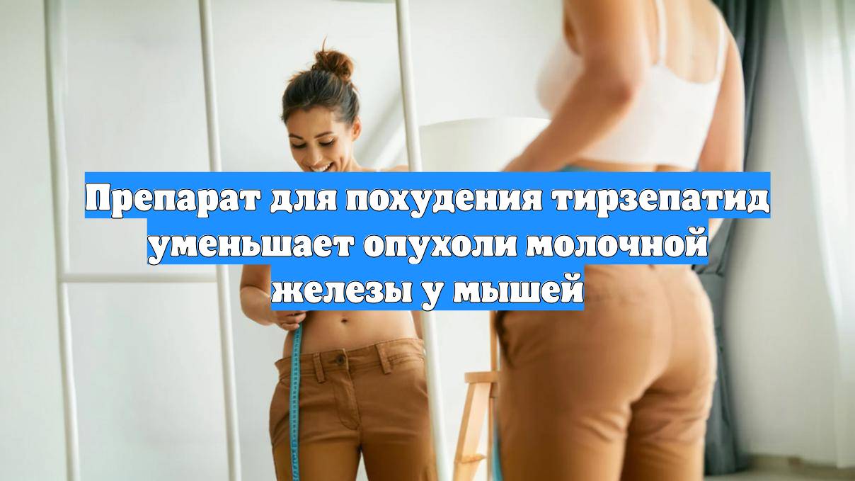 Препарат для похудения тирзепатид уменьшает опухоли молочной железы у мышей