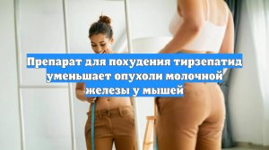 Препарат для похудения тирзепатид уменьшает опухоли молочной железы у мышей