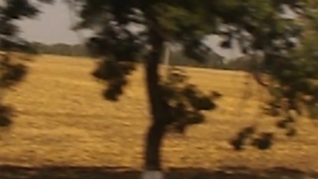 DSCN8171Лотосовый рай бассейн санатория ЛАГА июль 2025