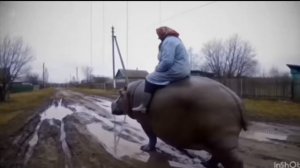 булька барабулька.все серии