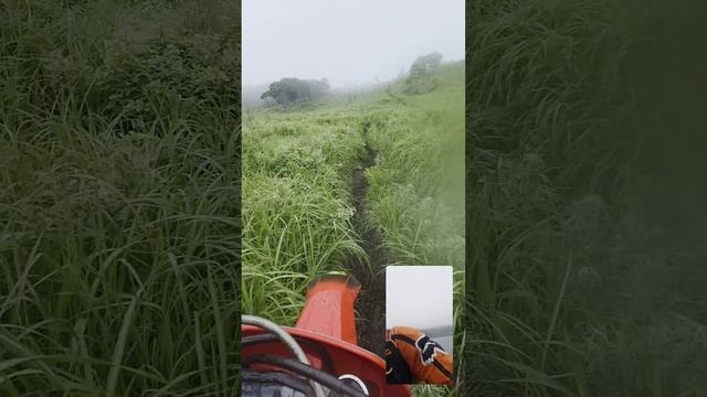 Koshine 2t Nx300 или Gas Gas