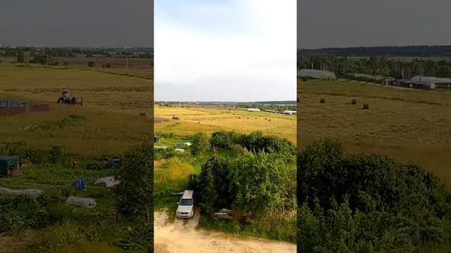 Заготовка Сена смотреть онлайн