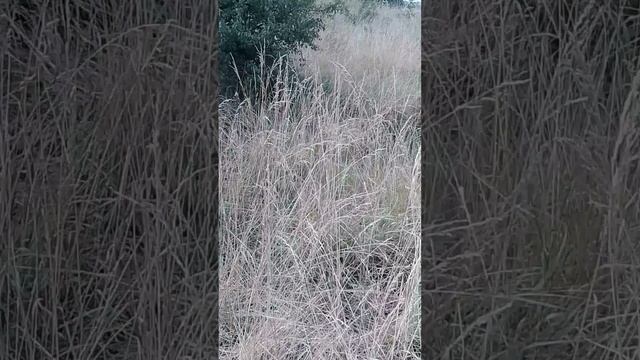 Крутой спуск (подъём) к морю! смотреть онлайн