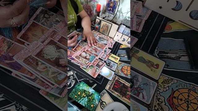 Кому вы хвост придавили? смотреть онлайн