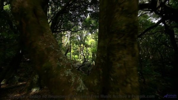 Каждая сцена бьёт по чувствам мощнее любого фильма - Boiling Point -- Frau Holle -- Different Ways