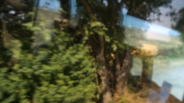 DSCN8175Лотосовый рай бассейн санатория ЛАГА июль 2025