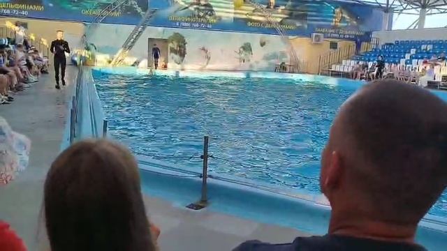 Дельфинарий в Голубицкой Темрюкский район Краснодарского края на берегу Азовского моря смотреть онлайн