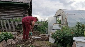 КУПИЛА ОСТАТКИ ПЛИТКИ ДЕЛАЮ ДОРОЖКУ И НОВУЮ КЛУМБУ.