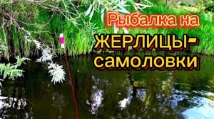 Рыбалка на ЖЕРЛИЦЫ-САМОЛОВКИ. Проверка после ночи