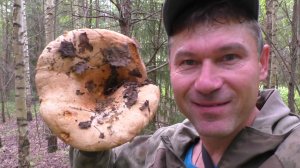 Долгий поход в лес по грибы! ГРИБЫ И ЛЕС!