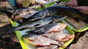 Летний сезон в Якутии: рыбалка с удовольствием