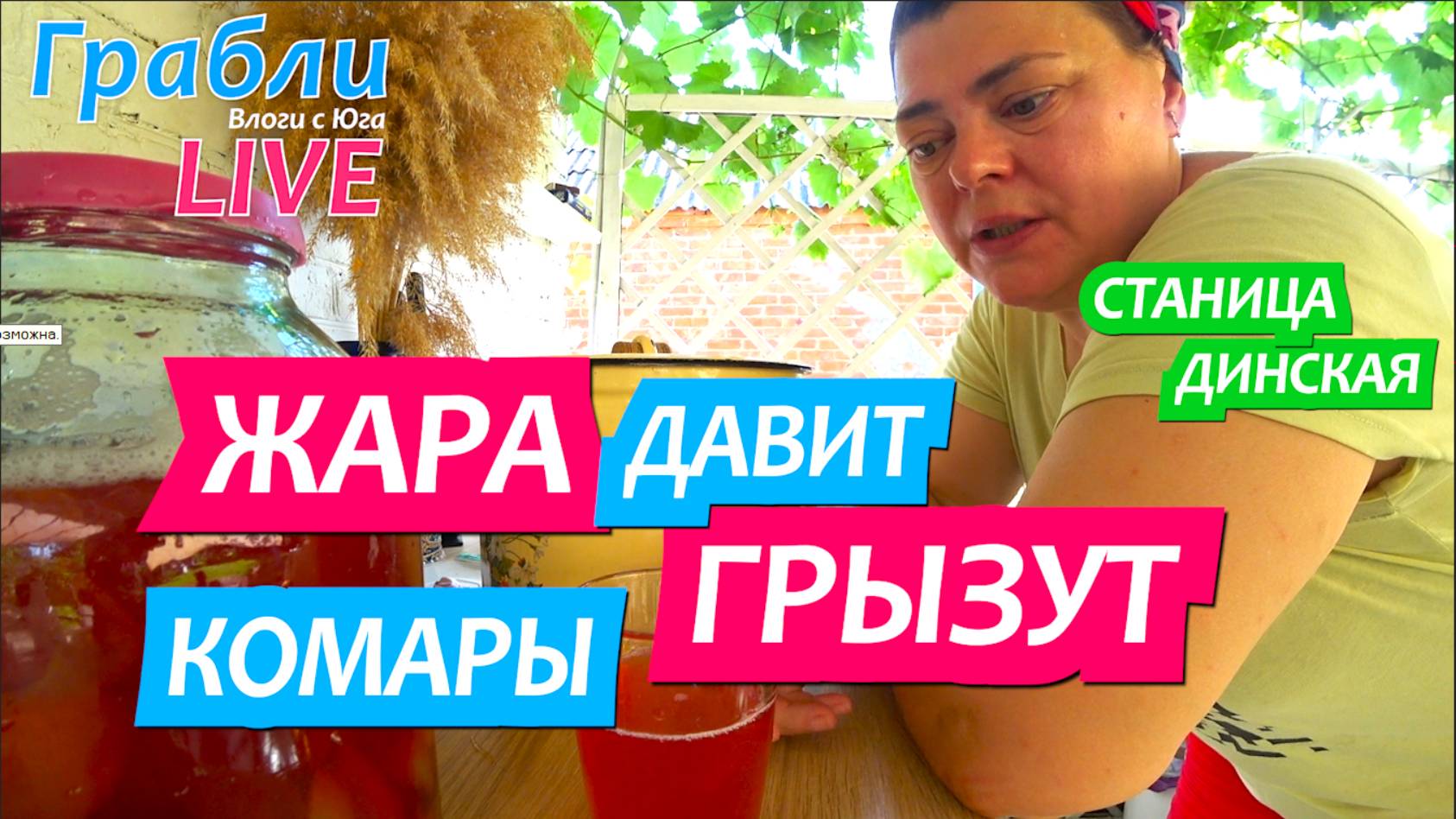948 серия 11-13.07.25 Жара давит Комары грызут / Жизнь в станице Динская после переезда на Юг смотреть онлайн