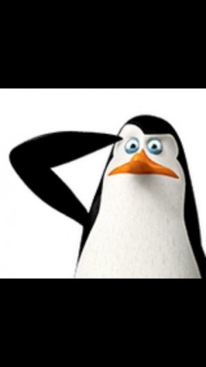 ПИНГВИНЫ МАДАГАСКАРА