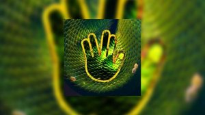 ПОКА - гадюка гэнг (Official audio)