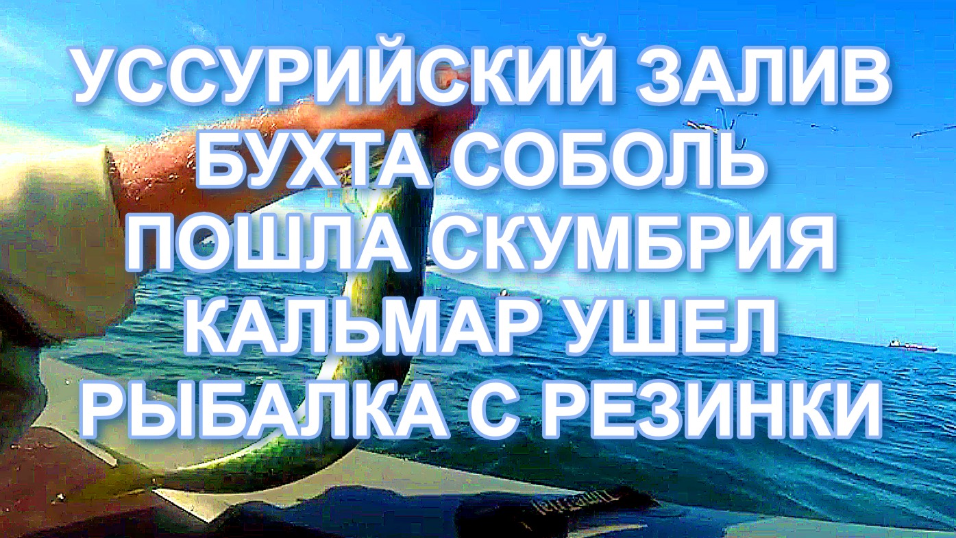 СКУМБРИЯ В ИЮЛЕ 2025 УССУРИЙСКИЙ ЗАЛИВ