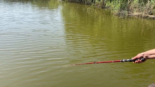 Наша поездка на базу отдыха Тихая заводь Пластуновская 13.07.2025