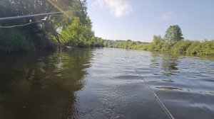 ЛОД. Мотор ФЛЭЙЗЕР 4,0.РЫБАЛКА на обмелевшей речке на ГОН с лодки (9)