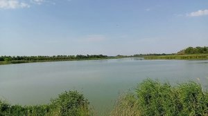 Таловское водохранилище 13-07-2025