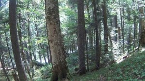 8 маршрут через горы к морю 04-07,07,2025