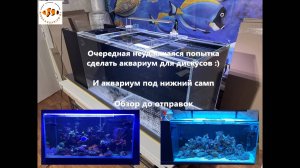 Опять не удалось с дискусами. Морские аквариумы Андрея и Алексея