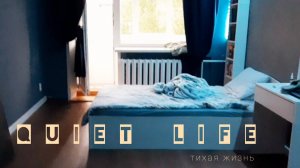 моя тихая жизнь