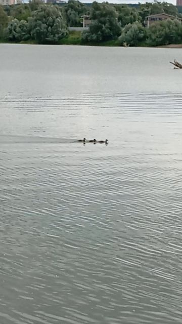 Три хулигана смотреть онлайн